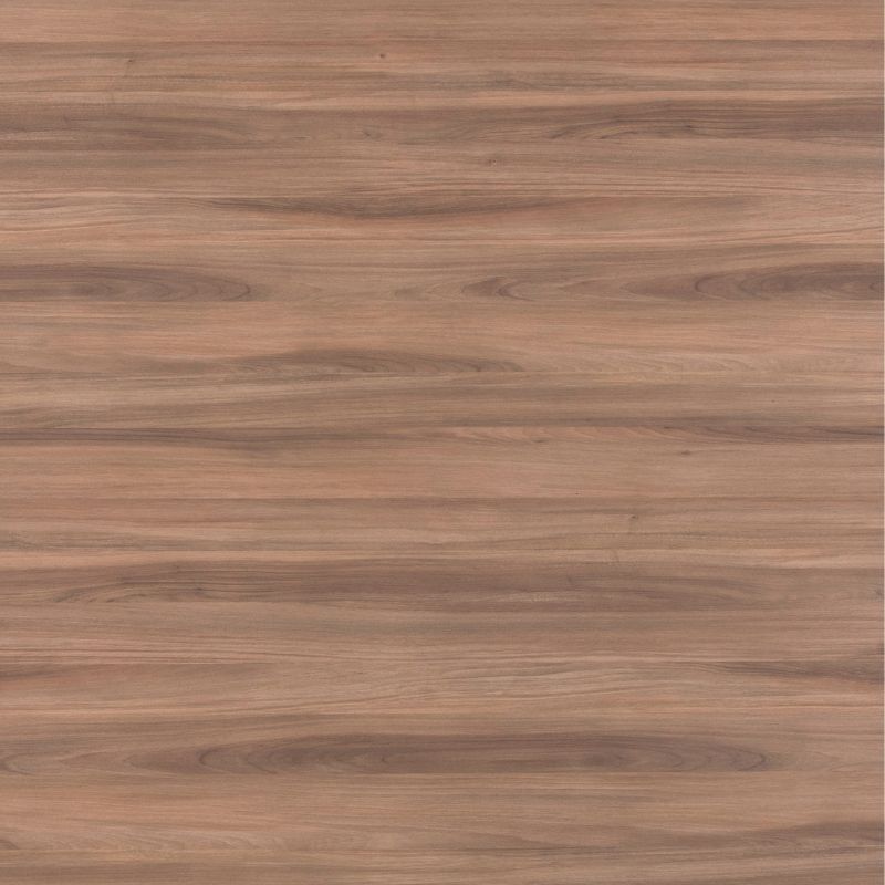 ARPA 4625 NOCE SINFONIA ALEVÉ